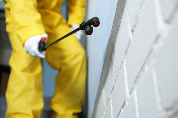 Professional Pest Control in Stanton, MI